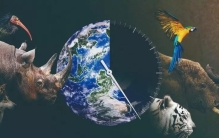 地球46亿岁曾出现过几个智慧物种，人类也只是匆匆过客吗？