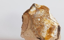 抹香鲸的排泄物是香的吗,抹香鲸的粪便都是龙涎香吗