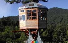 世界上最毒的生物，贝尔彻海蛇是最毒蛇（夹竹桃是最毒植物）