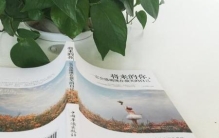 人心不足蛇吞象,欲壑难填羊上天(人心不足蛇吞象的故事典故)