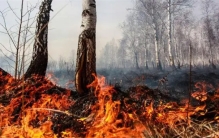 大火面积堪比十个足球场 持续燃烧数月 极地野火怎么烧起来的