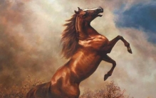 古代的汗血宝马,古代汗血宝马排行