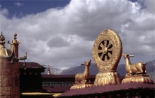 人类的生死轮回 什么时候能被解开（轮回之谜）