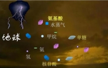 有言论人类不是地球的原住民他们的依据是什么意思,证据能证明人类是地球原住居民吗