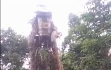 世界上最大的蛇巨蟒到底有多大,世界上发现的最大的巨蟒蛇有多大