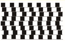 黑林错觉是什么意思,黑林错觉