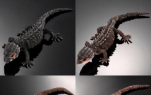 模玩资讯万代生物大图鉴Ultimate红眼鹰蜥黑眼鹰蜥扭蛋