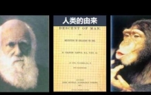 白种人黄种人黑种人的基因是一样的吗,达尔文的物种起源正确吗