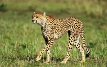 世界上桥梁最多的城市 并非是威尼斯而是德国汉堡市