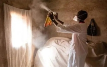 美国预计投放7.5亿只蚊子，阻断疾病传播，却有一隐患难以解决！