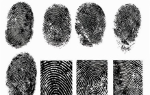 指纹几个斗是富贵命,康熙指纹有谁知道