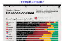 现在世界上哪些国家最依赖煤炭？