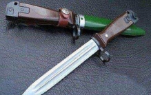 世界上最漂亮的鸟 第一长相特别最后酷似凤凰尾羽华丽