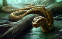 蟒蛇最多活多少年,世界上活得最久的蟒蛇