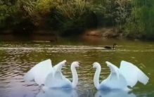 前世今生小说,我的前世