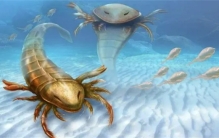 “蝎子”和人类一样大，如果不是有这些证据，谁敢相信是真的？