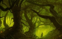 华严60章南瞻部洲极东偏远荒芜之地半兽人开始迁徙了