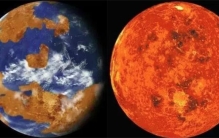 时隔百年！罕见“蛇鸟”重现云南，吞鱼像嗦粉，反常北迁或非好事