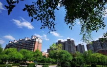 不要人夸好颜色只留青色「青未了不要人夸好颜色」