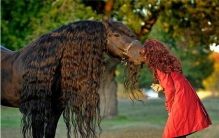 世界上最帅的马是什么 腓特烈二世为什么如此之帅