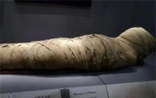 壮观！我国“深海勇士”南海挖出一船“阴沉木”，为何能值2万1斤