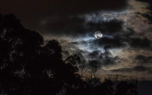 流传在农村的诡异事件你知道几个吗,农村妇女讲述诡异事