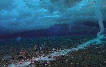 南极冰层下的秘密,南极未解之谜大全