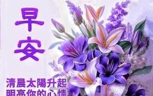 早安图片（八十四）世间花草 最愈人心