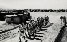 彭佳木双鱼玉佩事件,彭加木双鱼玉佩事件是真的吗