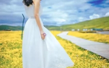 看淡了释怀了也就放下了,看淡了一切都会释然