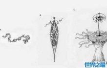 红皇后假说与达尔文进化论相抵，种间关系推动物种进化