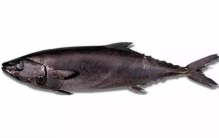 鱼肚子很多油,什么鱼最好吃又流油