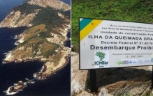 世界上最危险的蛇岛,巴西蛇岛十大毒蛇