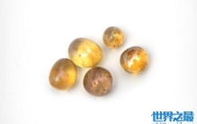 揭秘舍利子是什么，得道高僧死后遗体的结晶(图片)