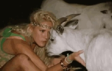 禽兽放开那只羊它们是我的宝贝,遇到禽兽怎么办