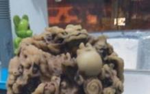 家里放什么可以辟邪至少要放一个东西,家里放啥辟邪