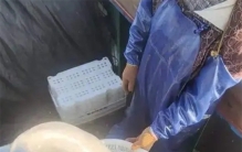 浙江渔民误捕“牢底坐穿兽”！银白色、八九十斤，为何会极度濒危