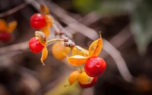 娱评大赏：曝光全明星圈的真实面貌，揭秘明星光环背后的真相！