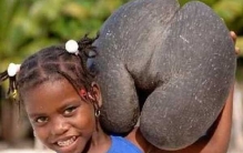 世界上最美的玫瑰花:大马士革玫瑰上榜 第二带果香