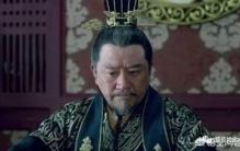 琅琊榜谁当了皇上,琅琊榜中的皇帝是真实的吗