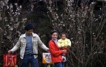 女婿上门家破人亡是什么意思(女婿同床家破人亡下句)