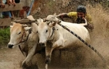 云南“杀人水潭”，蛇群环绕尸体成堆，动物靠近就会死亡！