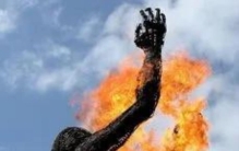 世界各国奇闻趣事,各国奇闻趣事