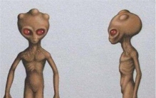 巴西外星人目击事件,1996年巴西外星人事件