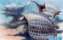 生长在三叠纪的龟龙身长大约90厘米，并且有着乌龟一样的外壳 ...