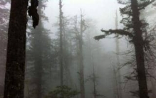 禁地四川瓦屋山迷魂凼，30年探险专家迷路狗死亡