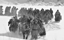 东北采参人的传奇故事,东北民间奇闻轶事