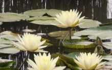 你的潜意识隐藏了不为人知的秘密英文,身体隐藏的秘密