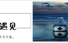 黄山有什么资源,小黄山还拆不拆