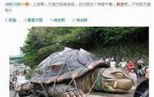 黄河发现巨龟事件「奇闻异事之黄河巨龟事件」